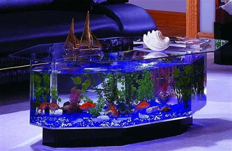 Cool Fish Tank Theme Ideas