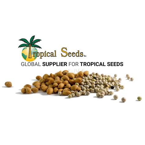 Tropical Seeds BV - Global trader of quality seeds