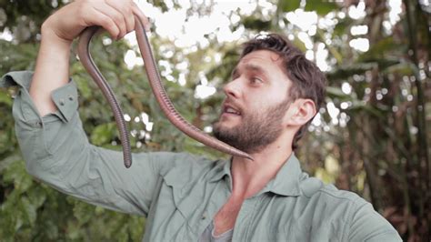 GIANT EARTHWORM DISCOVERED IN ECUADOR - YouTube