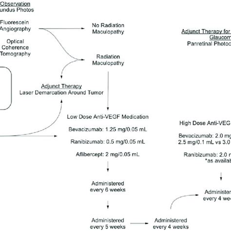 Choroidal melanoma patient care flow chart. This diagram shows our ...