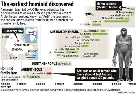 The earliest hominid discovered in Ethiopia. | Human evolution, Hominid ...