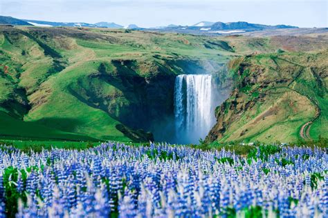 Top 8 Must Visit Waterfalls in Iceland & Where To Find Them!