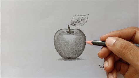 Apple Pencil Sketch