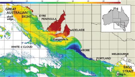 Blue Whale Habitat – Blue Whale Study