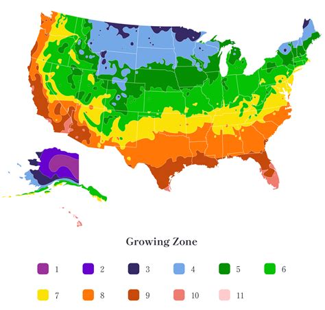 Growing Zone Map - Find Your Plant Hardiness Zone | Trees.com