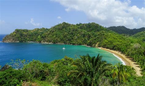 Explore the Untouched Island of Tobago | Weddingbells | Secluded beach ...