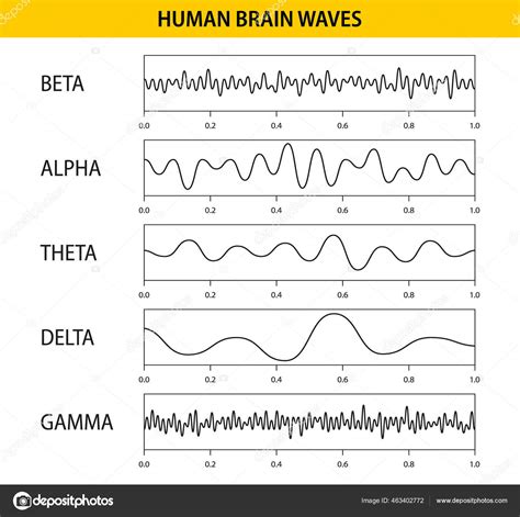 Beta, alpha, theta, delta, gamma brain waves. Set of brain waves ...