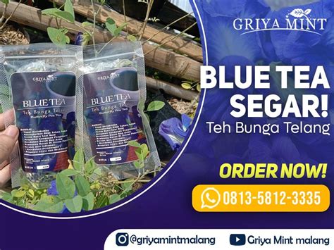 MINUMAN TELANG, WA 0813–5812–3335, Khasiat Kembang Telang Untuk ...