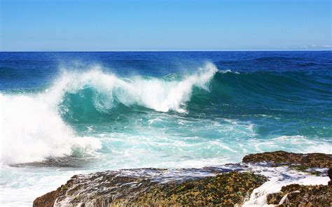 Blue Sea Waves | Wild Life Adventures