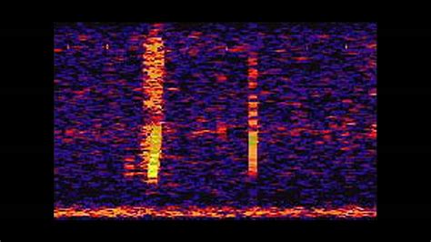 The Bloop: A Mysterious Sound from the Deep Ocean | NOAA SOSUS - YouTube