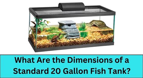 What Are The Dimensions Of A Standard 20 Gallon Fish Tank?, 57% OFF