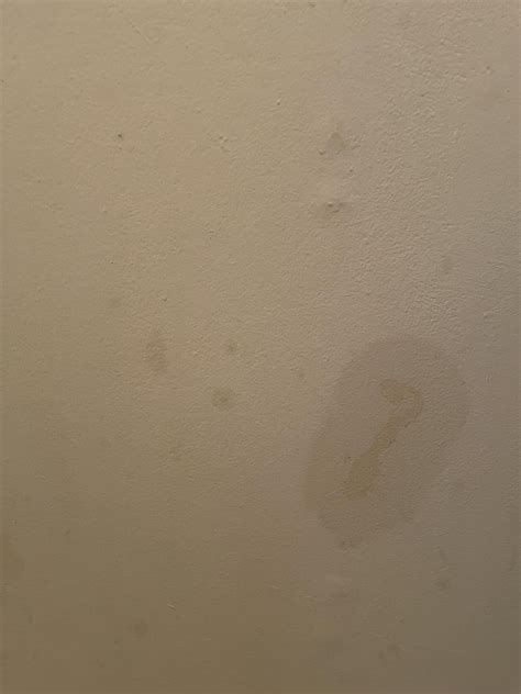 need some help identifying and cleaning stains on walls : r/CleaningTips