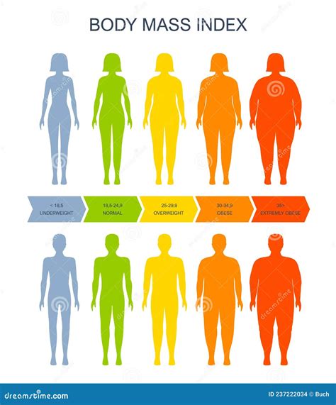 Body Mass Index Chart, BMI of Man and Woman Scale Stock Vector ...