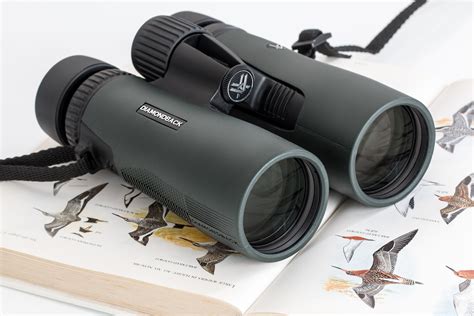 Best Hunting Binoculars on a Budget (2020 Reviews) - HuntingSage