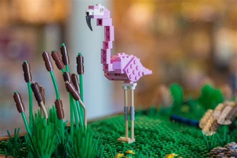 Limited edition LEGO® brick wetland animal sets now on sale at WWT ...