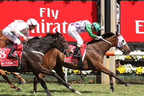 Melbourne Cup winners brother wins at Hamilton | Sports News Australia