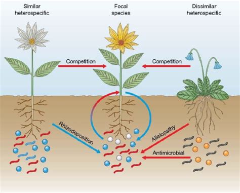 Plantae | What We’re Reading: December 7th | Plantae