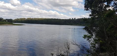 THE BEST Things to Do in North Nowra (2024) - Must-See Attractions