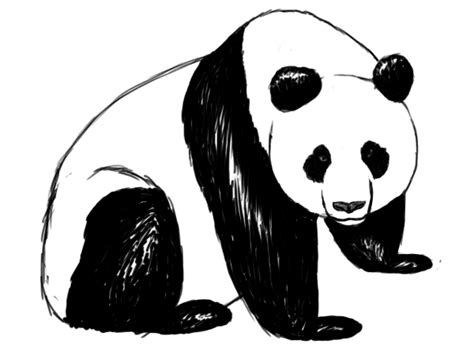 Panda Bear Outline | Free download on ClipArtMag