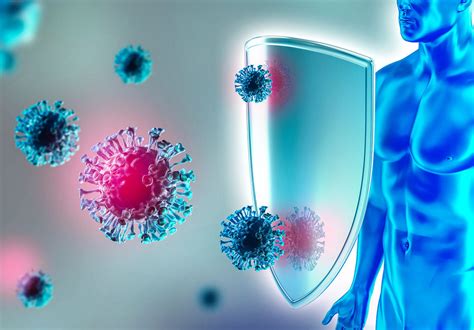 How Does the Immune System Work?