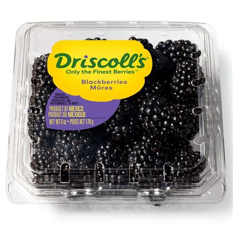 Driscoll's Blackberries (6 oz) - Instacart