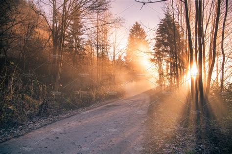 Misty sunrise in the forest | High-Quality Nature Stock Photos ...