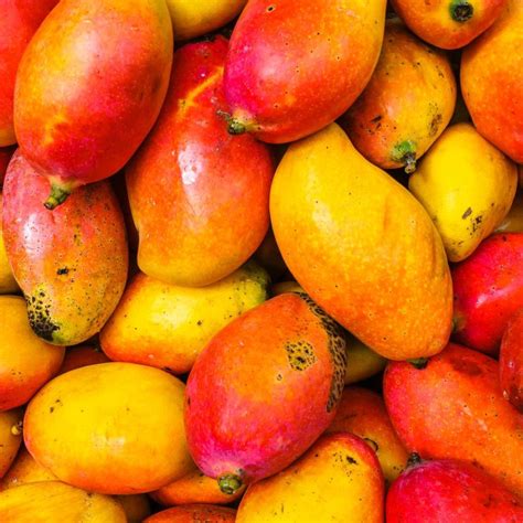 Top 10 Mango Varieties In India