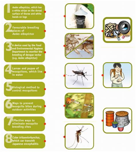 Understanding Mosquitoes and Methods of Mosquito Prevention and Control