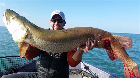 Lake St. Clair - Mike Hulbert's Guide Service