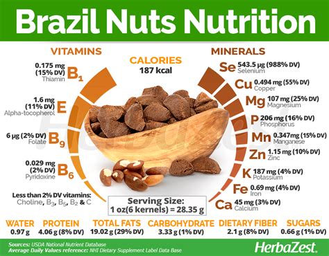 The Brazil nuts come from the Amazon rainforest and are a powerhouse of ...