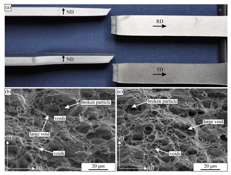 Materials | Free Full-Text | High-Cycle Fatigue Behaviour of the ...