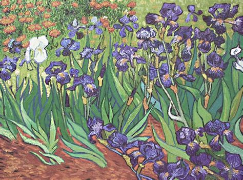 Irises Vincent Van Gogh