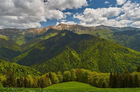 Exploring the Mystical Beauty of the Carpathian Mountains | by Mihai ...