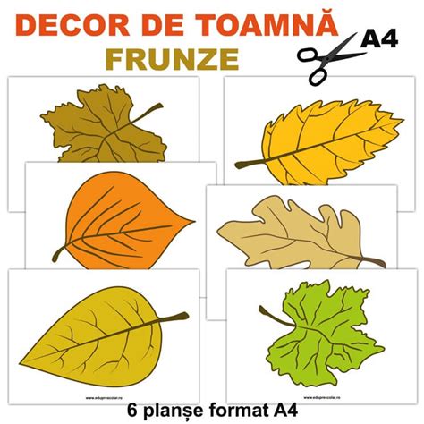 Decor de toamna - cos cu fructe si crizanteme | Eduprescolar.ro