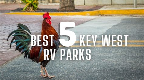 5 Best Key West RV Parks & Things To Do Nearby | RV Lifestyle