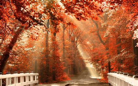 Autumn Pictures For Desktop Backgrounds - Wallpaper Cave