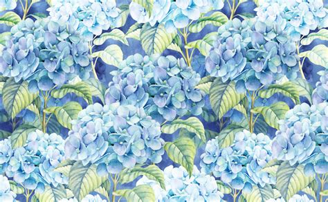 🔥 Download Watercolor Hydrangea Blossom Blue Background Wallpaper For ...