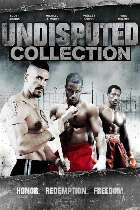 Undisputed Collection — The Movie Database (TMDB)