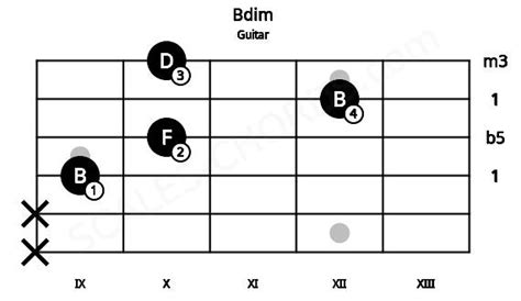 Bdim Guitar Chord | B diminished triad | Scales-Chords