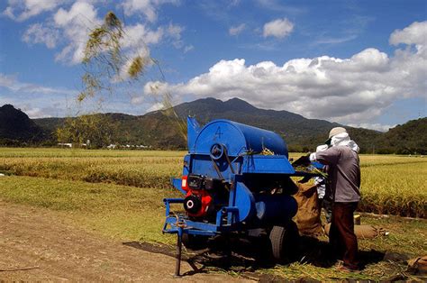 Harvesting systems - IRRI Rice Knowledge Bank