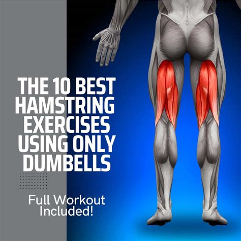 The 10 Most Effective Hamstring Exercises With Dumbbells