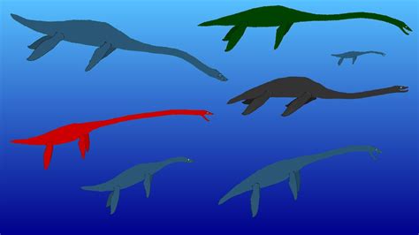 Plesiosaur Size Comparison