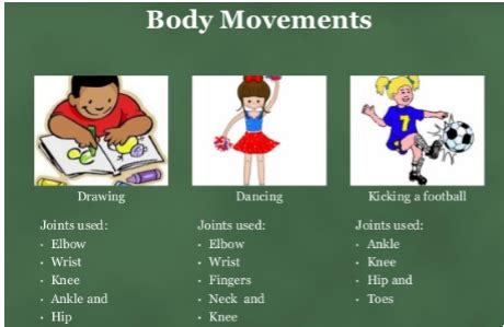 Body Movements CBSE Class 6 Science Notes Chapter - 8