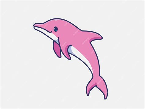 Pink Dolphin Cartoon