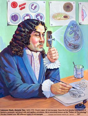 Biografia De A V Leeuwenhoek - Shajara