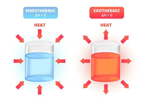 Exothermic and Endothermic: Understanding Key Differences