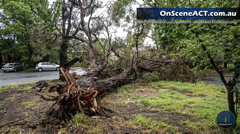 Severe storms take out power to nearly 6000 homes in Canberra's north