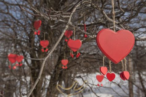 Know About the Different Valentine's Day Traditions Across the Globe