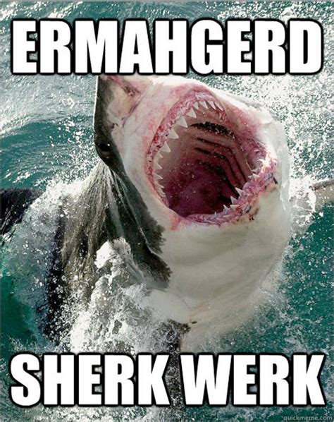 Love Shark Week? 11 Hilarious Shark Memes For Shark Lovers [PHOTOS]