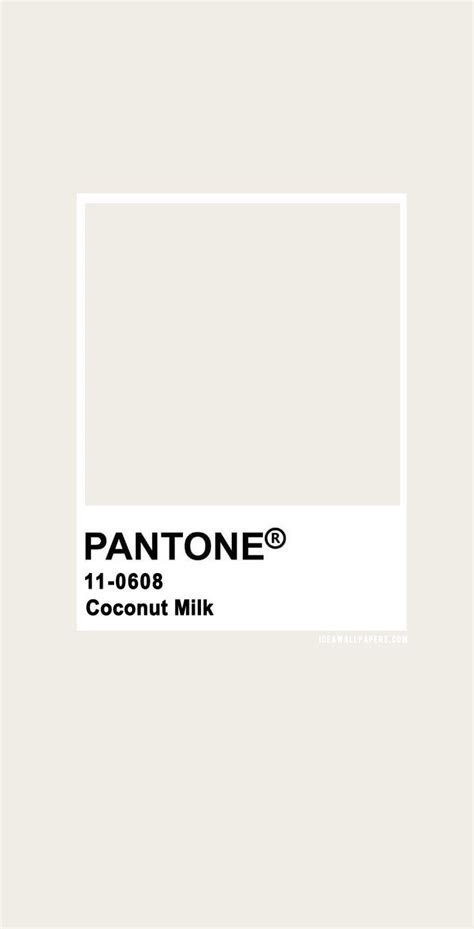 Pantone Coconut Milk : Pantone 11-0608 TCX Coconut Milk, pantone ...